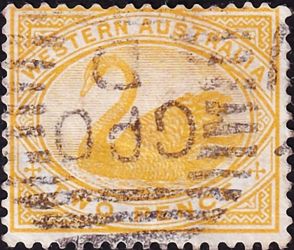  1899  .   (Cygnus atratus) .  2,75 .